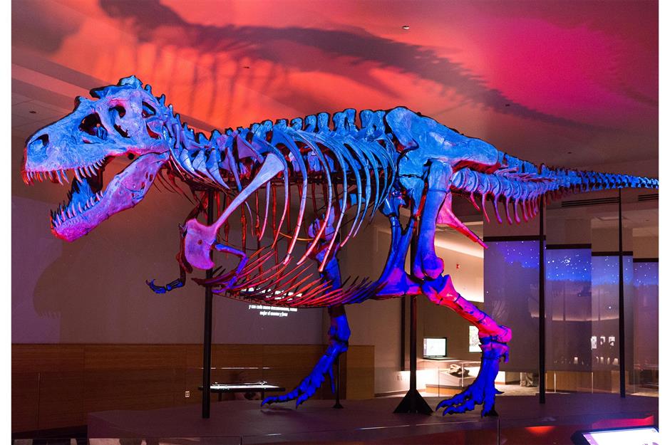 South Dakota: Sue T-Rex skeleton